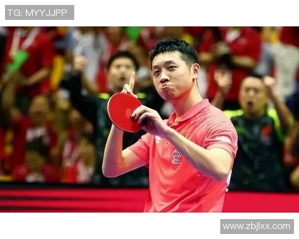 从零基础到高手之路乒乓球比赛全方位实战技巧与经验分享